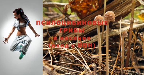 спайс Балабаново