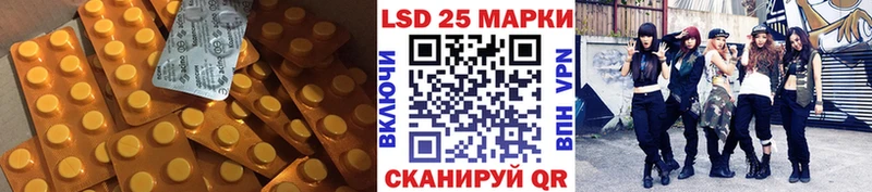 наркотики  гидра маркетплейс  ЛСД экстази ecstasy  Новозыбков 