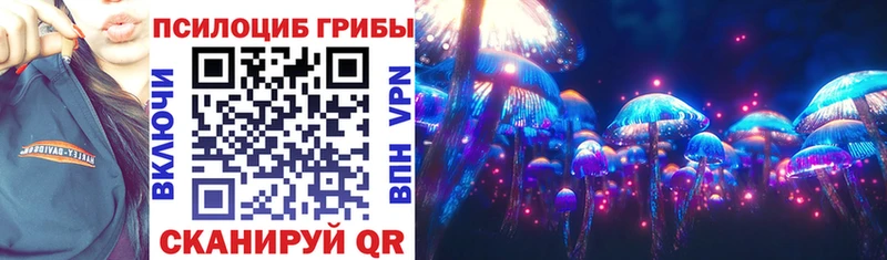 сколько стоит  Новозыбков  Псилоцибиновые грибы ЛСД 